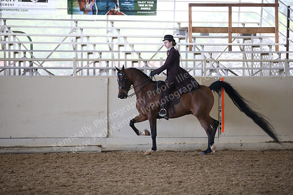 AHANC_Show18_FriAM_1317