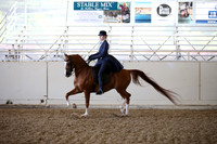 AHANC_Show18_FriAM_1322