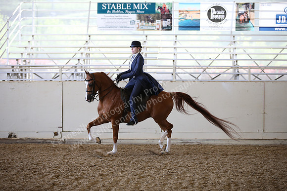 AHANC_Show18_FriAM_1322