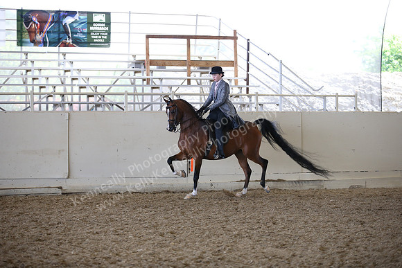 AHANC_Show18_FriAM_1324
