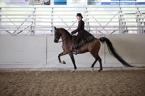 AHANC_Show18_FriAM_1318