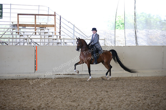AHANC_Show18_FriAM_1323