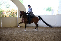 AHANC_Show18_FriAM_1327