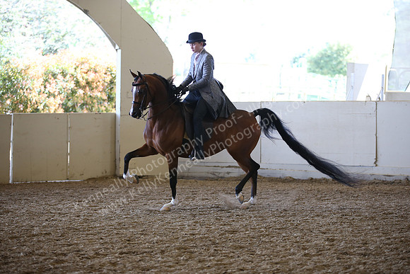 AHANC_Show18_FriAM_1327