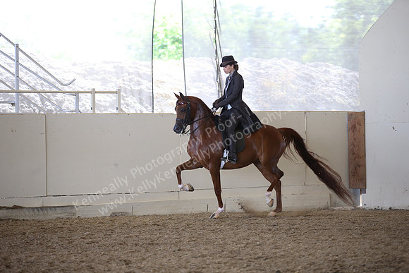 AHANC_Show18_FriAM_1329