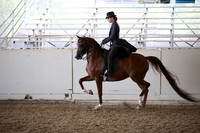 AHANC_Show18_FriAM_1332