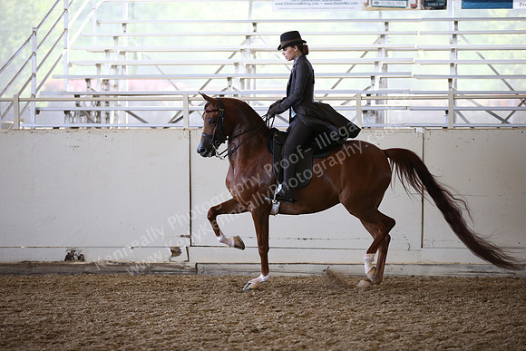 AHANC_Show18_FriAM_1332
