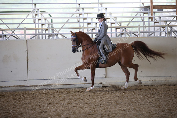 AHANC_Show18_FriAM_1334