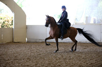 AHANC_Show18_FriAM_1338