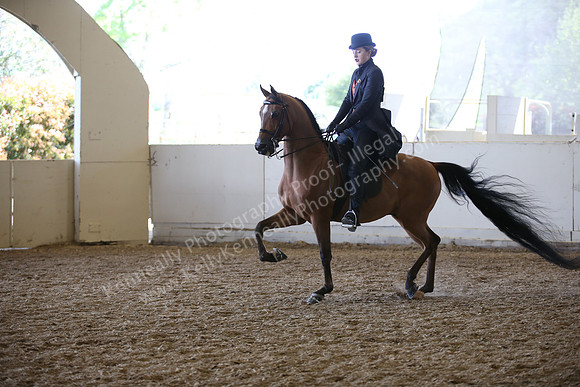 AHANC_Show18_FriAM_1338