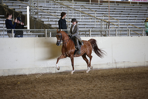 AHANC_Show18_FriAM_1339