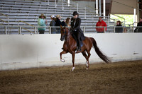 AHANC_Show18_FriAM_1342
