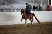 AHANC_Show18_FriAM_1343
