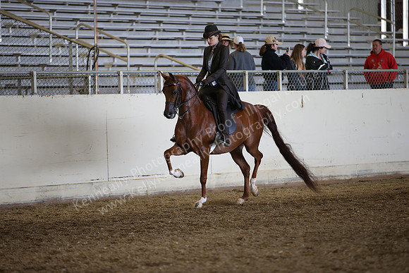 AHANC_Show18_FriAM_1343