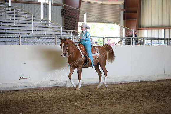 AHANC_Show18_FriAM_1446