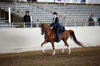 AHANC_Show18_FriAM_1350
