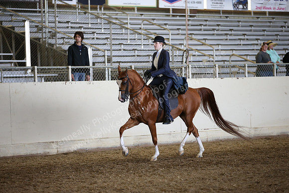 AHANC_Show18_FriAM_1350