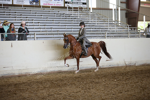 AHANC_Show18_FriAM_1356