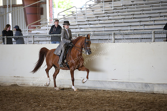 AHANC_Show18_FriAM_1365