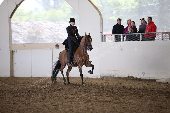 AHANC_Show18_FriAM_1367