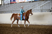 AHANC_Show18_FriAM_1457