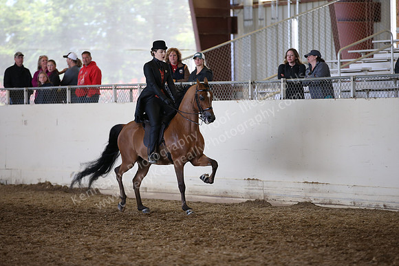 AHANC_Show18_FriAM_1368