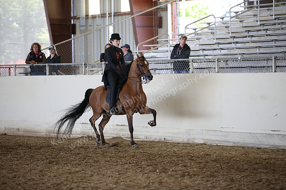 AHANC_Show18_FriAM_1369