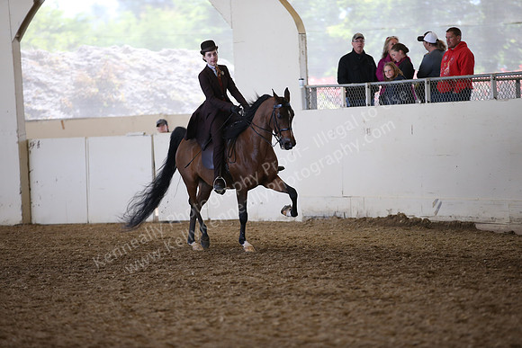 AHANC_Show18_FriAM_1375