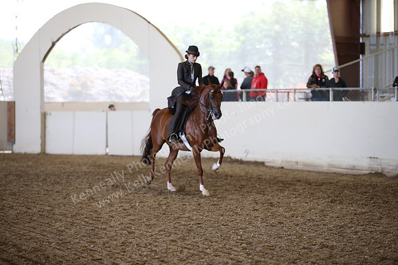 AHANC_Show18_FriAM_1376