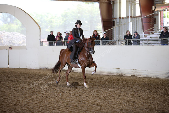 AHANC_Show18_FriAM_1377