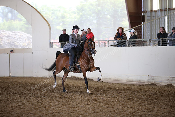 AHANC_Show18_FriAM_1383