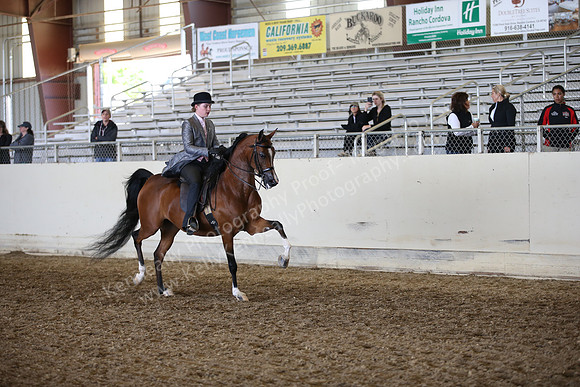 AHANC_Show18_FriAM_1385