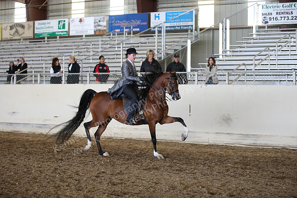 AHANC_Show18_FriAM_1387