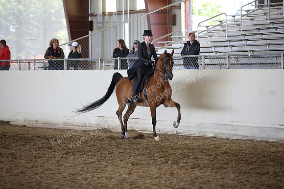 AHANC_Show18_FriAM_1389