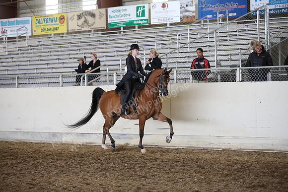 AHANC_Show18_FriAM_1391