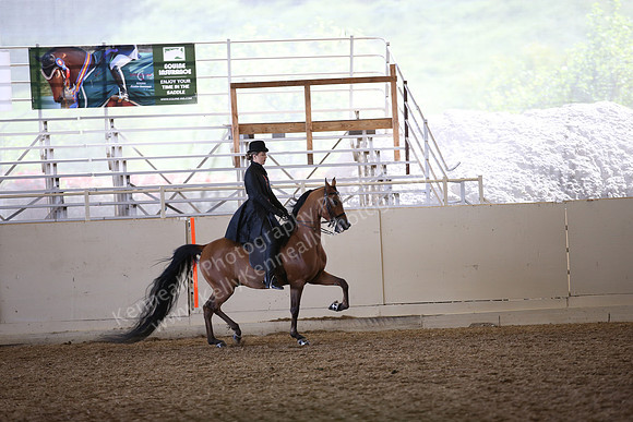 AHANC_Show18_FriAM_1394