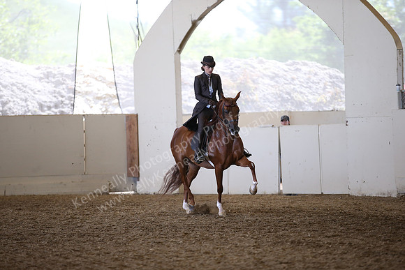 AHANC_Show18_FriAM_1395
