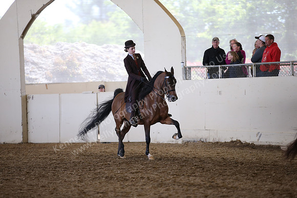 AHANC_Show18_FriAM_1397
