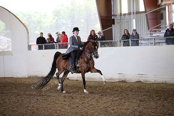 AHANC_Show18_FriAM_1400