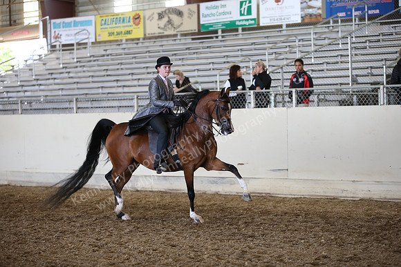 AHANC_Show18_FriAM_1402