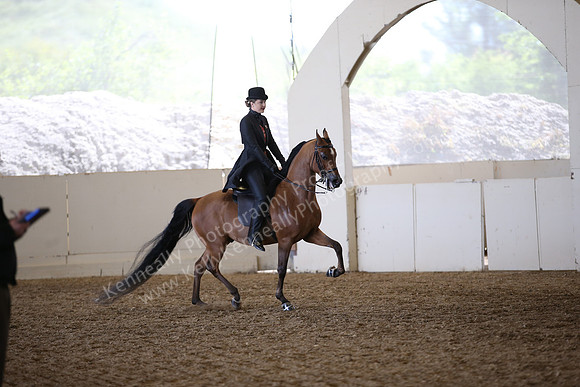 AHANC_Show18_FriAM_1410