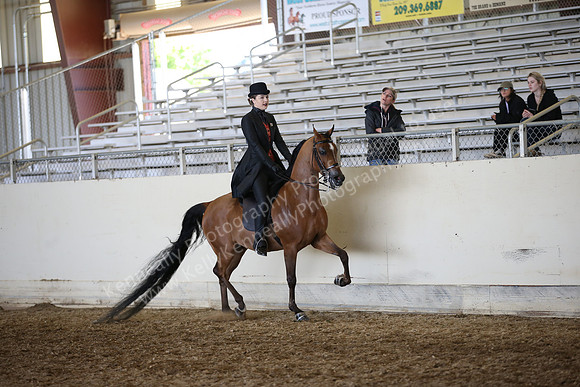 AHANC_Show18_FriAM_1413