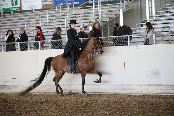 AHANC_Show18_FriAM_1415