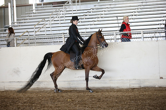 AHANC_Show18_FriAM_1417