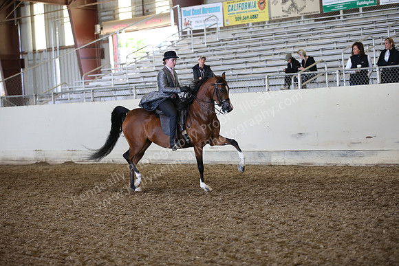 AHANC_Show18_FriAM_1419