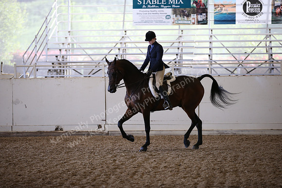 AHANC_Show18_FriAM_1468