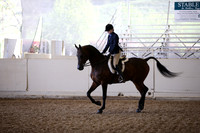 AHANC_Show18_FriAM_1469