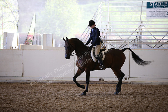 AHANC_Show18_FriAM_1469