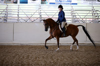 AHANC_Show18_FriAM_1472