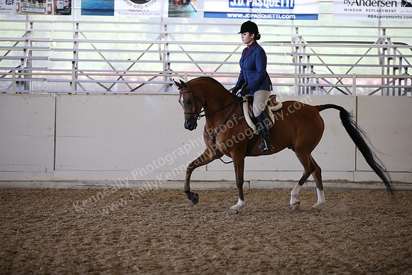 AHANC_Show18_FriAM_1472